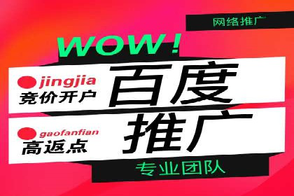 百度信息流广告投放技巧：实战案例解析